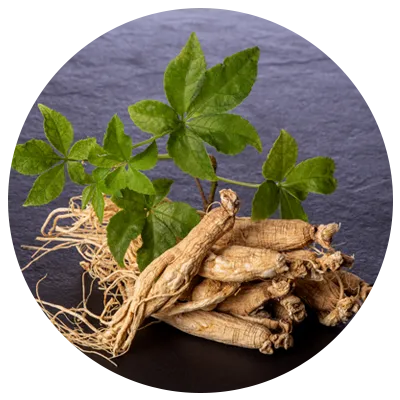 files/Ginseng.webp