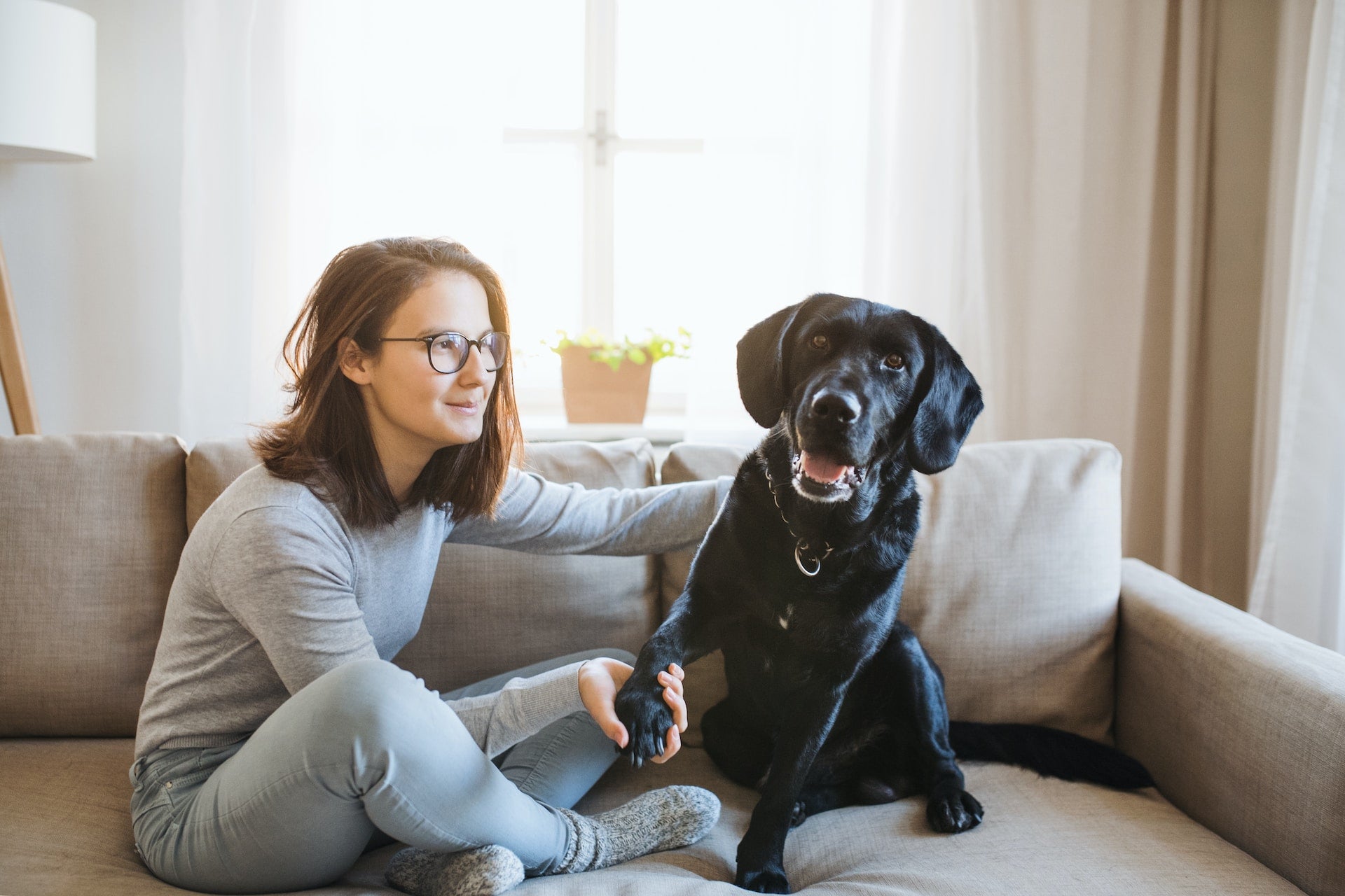 human and pet