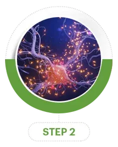 files/step-2-1.png_1.webp